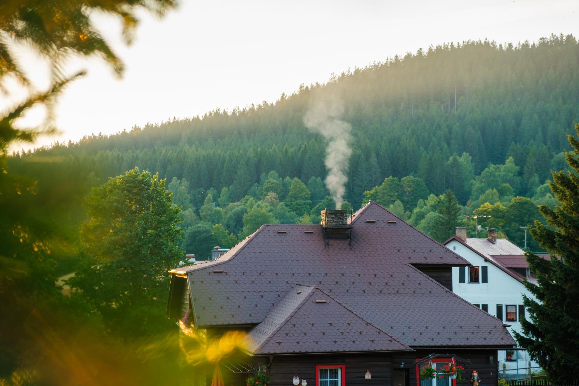 Chimney Sweep Service (2)